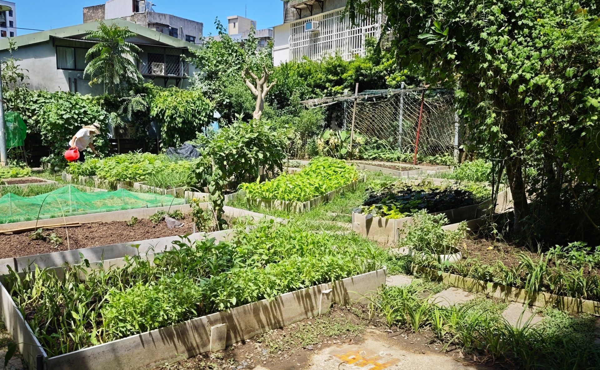 永昌里開心農場