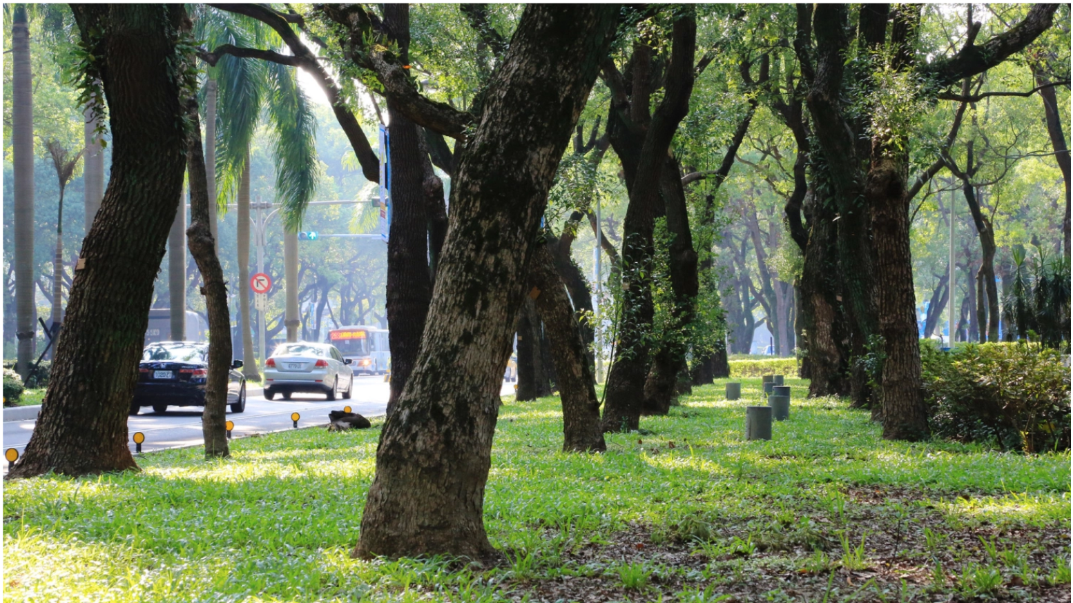 ivc feb12 to upload 035