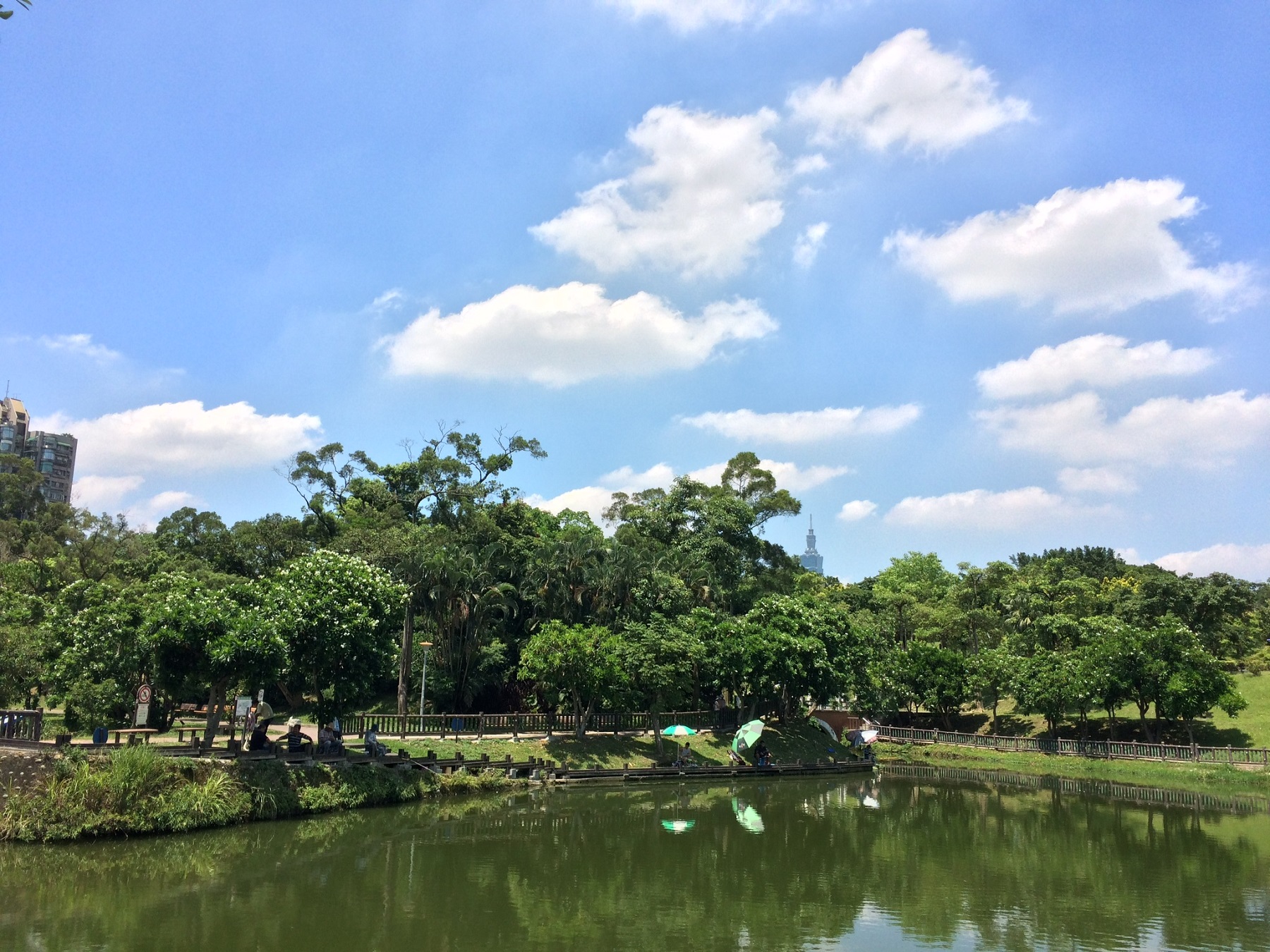 南港公園 後山埤 釣魚