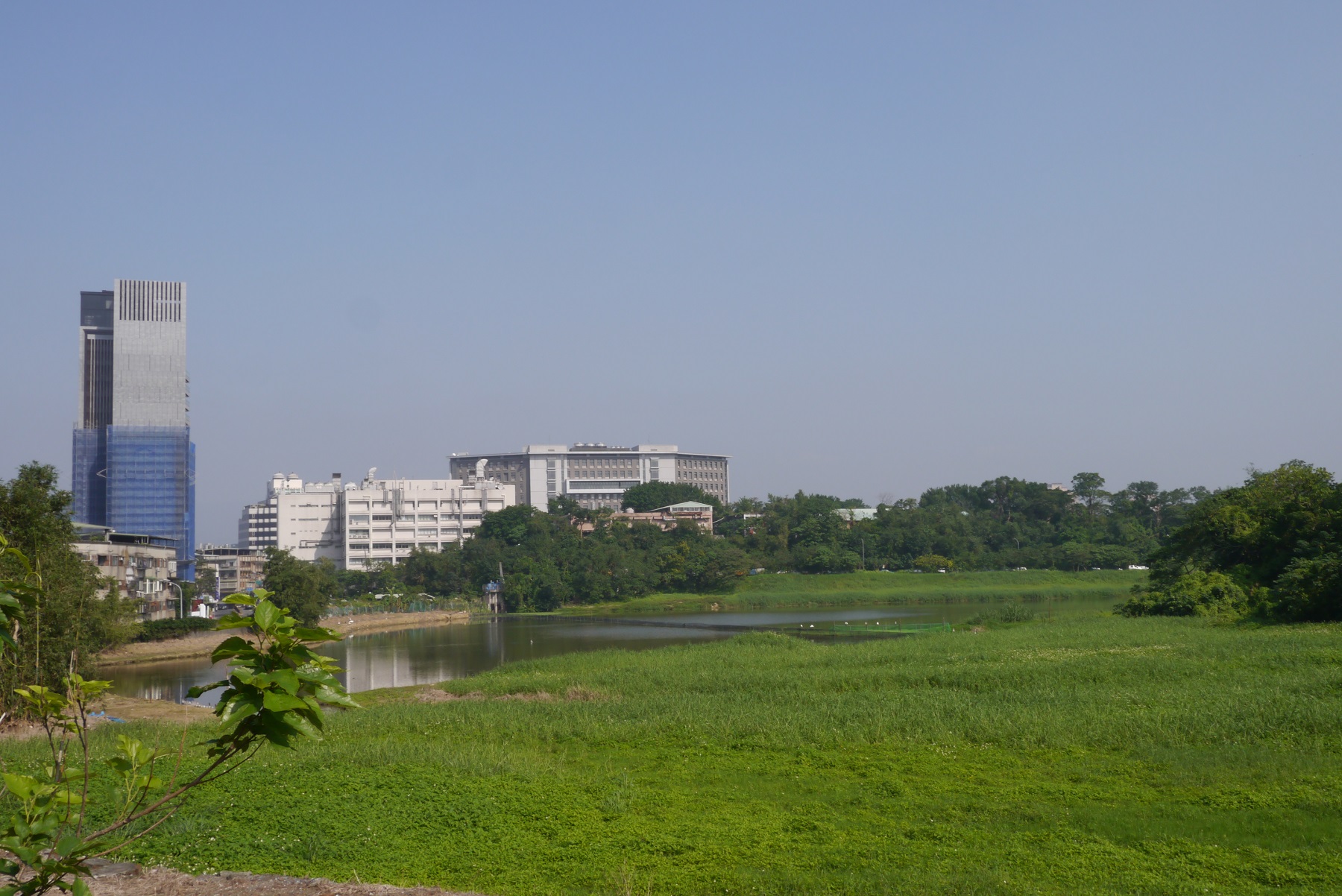 新莊子埤 南往北