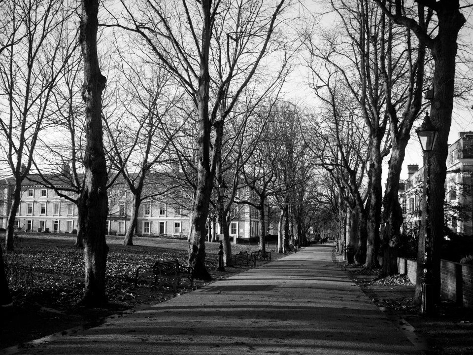 01 New Walk by Priya Lin